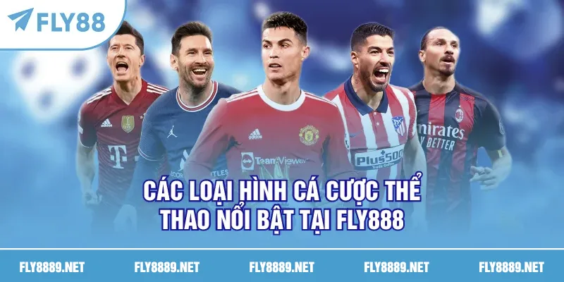 Các loại hình cá cược thể thao nổi bật tại FLY888